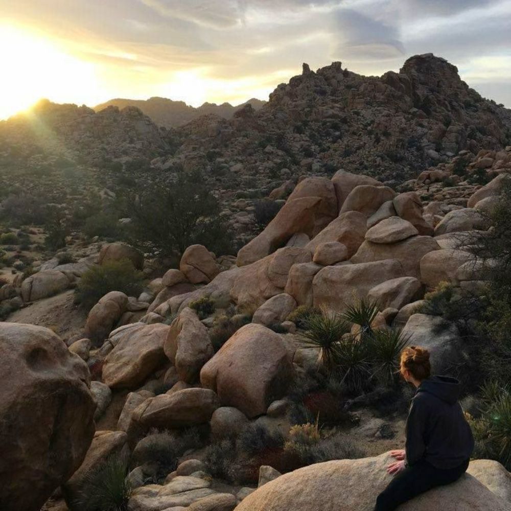 Meet your Posher, Faina